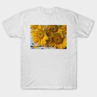 Fading Spent Sunflowers Still life T-Shirt